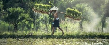 文(wén)章(zhāng)附圖