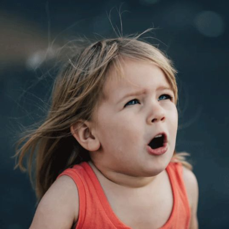 文(wén)章(zhāng)附圖